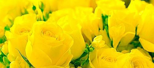 Какого цвета стены в психушке. Символика цвета - жёлтый 05