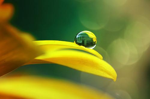 Какого цвета стены в психушке. Символика цвета - жёлтый 07