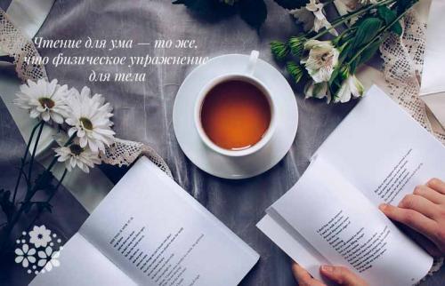 Чтение книг цитаты. Хорошо делаешь, если читаешь книги. Привыкай читать!