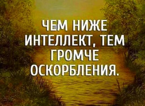 Как ответить на оскорбление красиво фразы. Фразы для ответа на оскорбления