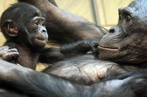 Как вести себя с трудным подростком советы психолога. Трудный подросток. 8 советов психолога 01