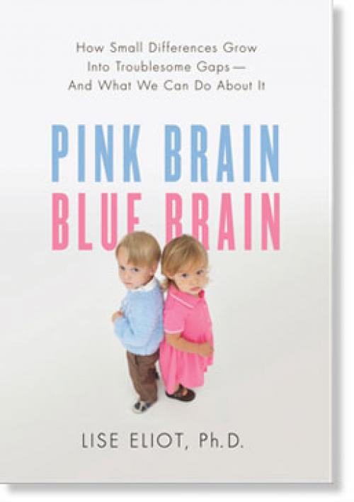 Мужской мозг и женский мозг. Женский мозг оказался активнее мужского 04