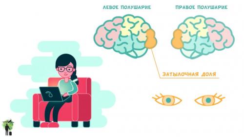 Рюта кавашима тренируй свой мозг. Инсай.  Самый эффективный способ тренировки мозга — решение простых задач на время.