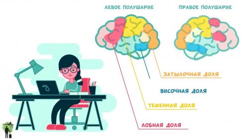 Рюта кавашима тренируй свой мозг. Инсай.  Самый эффективный способ тренировки мозга — решение простых задач на время.