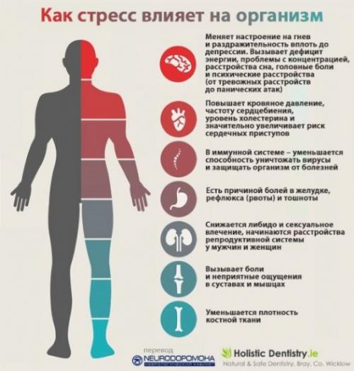 Стресс и как с ним бороться. Так как же бороться со стрессом? 03 Стресс и как с ним бороться. Так как же бороться со стрессом? 03