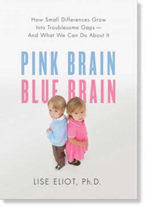 Отличие женского мозга от мужского. У мужчин мозг больше, но у женщин он активнее 01