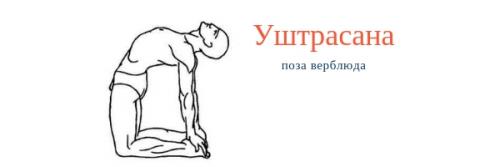 Поза скорпиона с гамаком доступна всем. 10 поз йоги для подготовки к Скорпиону 13