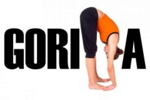 Поза скорпиона с гамаком доступна всем. 10 поз йоги для подготовки к Скорпиону 04