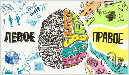 Левое полушарие отвечает за правую сторону. Разница в работе правого и левого полушарий