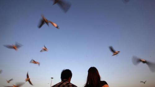 Мозг мужчины и женщины вес. Ученые: Мужской мозг больше, но женщины используют свой эффективнее