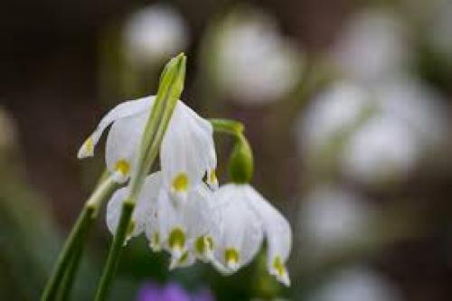 Разрываюсь между ребенком и мужчиной. Помогите!!! Разрываюсь между любимым мужем и сыном от первого брака 03