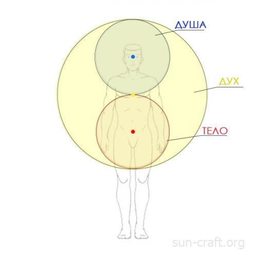Дух Душа и тело википедия. Тела человека — Дух, Душа и Тело