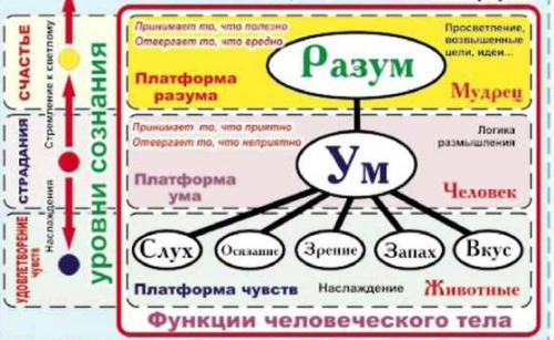 Душа тело разум дух. Особенности Земли 01