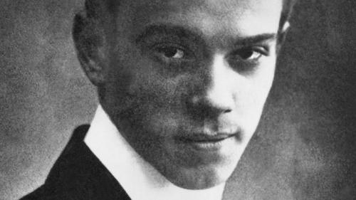 Вацлав фомич нижинский tamara nijinskaya. Нижинский вацлав фомич - биография. Вацлав Нижинский: Неприличный эгоист Нежинский танцор не страдал шизофренией