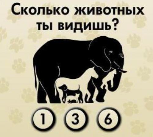 Как развить усидчивость у взрослого. Как развивать усидчивость и внимание