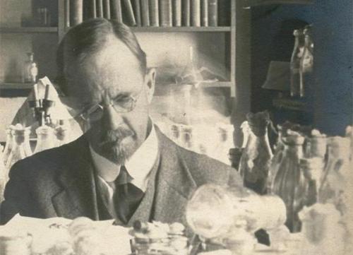 Доминантность это в психологии. Определение доминантности 02