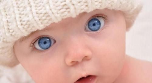 Доминантность это в психологии. Определение доминантности 01