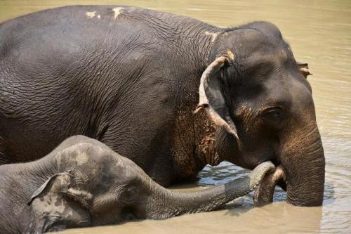 Человек это не животное. Мы даже не животные.. хуже 02
