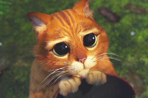 Как реагировать на манипуляции. Что такое манипуляция?