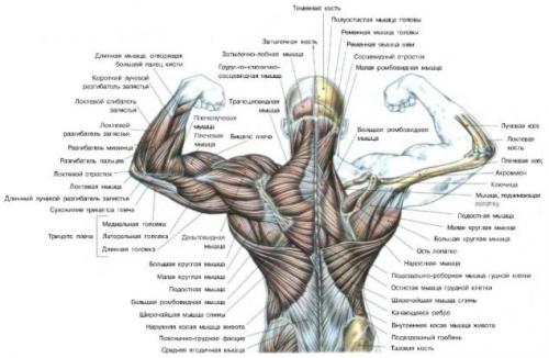 Тело душа разум и. Как продвигаться к успеху? 01