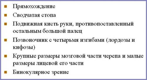 Человек это не животное. Мы даже не животные.. хуже 01