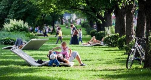 Как не обращать внимание на негатив на работе. Как научиться не реагировать на негатив и оскорбления?