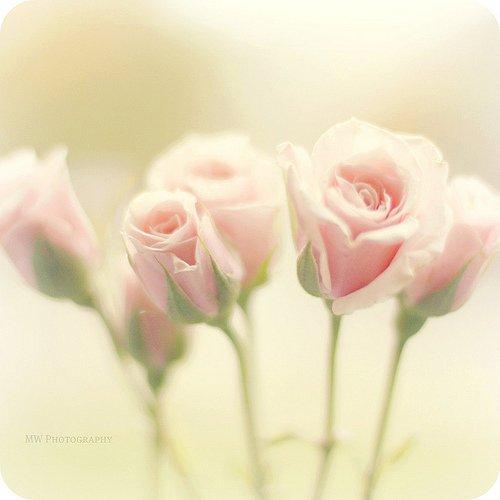 Токсичные отношения в психологии. Что такое токсичные отношения? 02