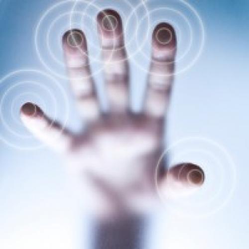 Тест на определение ведущей системы восприятия. Тест на определение репрезентативной системы