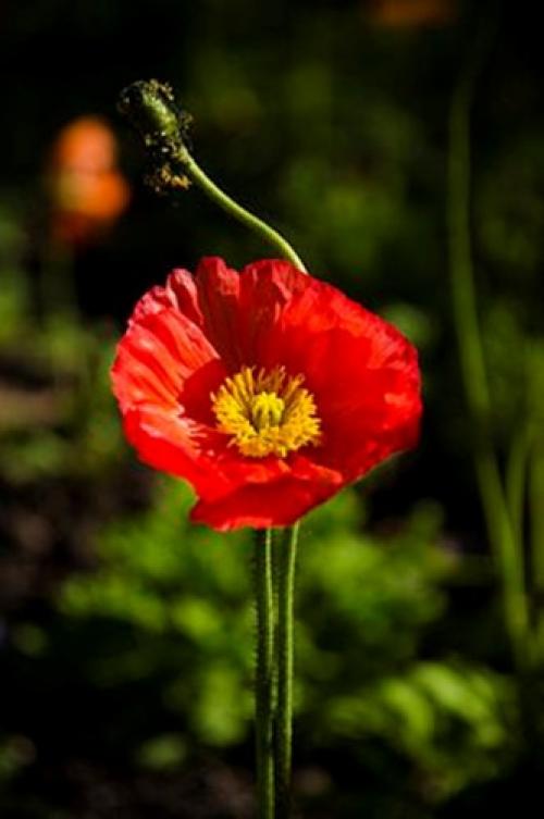 Как начать жить своей жизнью, а не чужой. Как перестать жить чужой жизнью 02