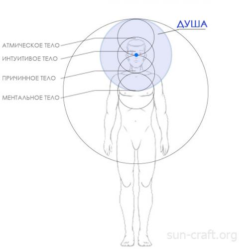 Дух Душа тело философия. Тела человека — Дух, Душа и Тело