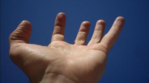 Указательный палец и безымянный одной длины. Какой палец у Вас длиннее: указательный или безымянный? И о чем это говорит? 08 Указательный палец и безымянный одной длины. Какой палец у Вас длиннее: указательный или безымянный? И о чем это говорит? 08