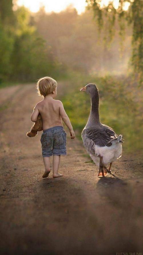 Для чего заводят любовников. Традиционно причинами появления любовника у замужней дамы считают: 04