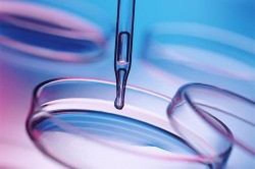 Можно ли иметь детей с гепатитом с у мужчин. Факторы, повышающие риск заражения плода