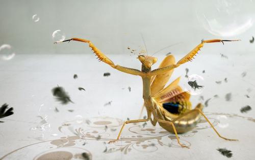 Игры для пары дома. Психологические игры для двоих 05 Игры для пары дома. Психологические игры для двоих 05