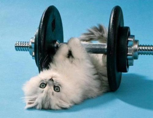 Позаботьтесь о себе и своем здоровье. Позаботьтесь о своем здоровье!