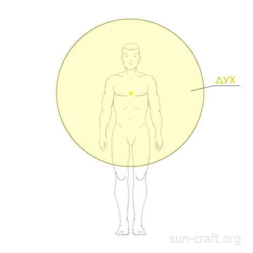 Дух душа и тело. Тела человека — Дух, Душа и Тело