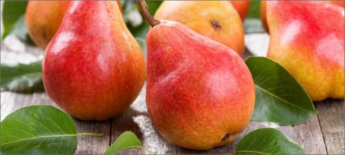 Как развить у ребенка логическое мышление. Упражнени. Логические задачи