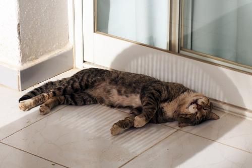 Развлечения взрослых женщин испании. Немецкий отель «для взрослых». Ожидания и реальность