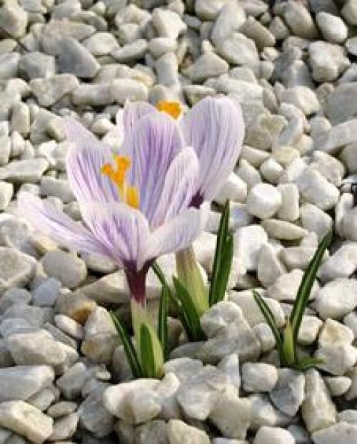 Цитаты о профессии психолога