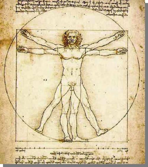 Леонардо да Винчи работы. Топ 10 Лучших работ Леонардо да Винчи