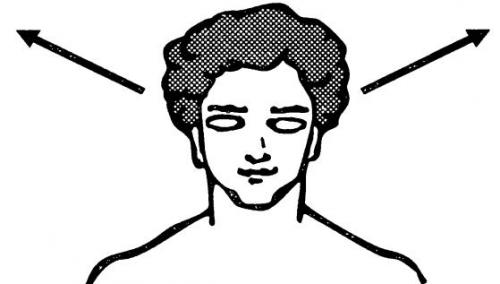 Тест визуал. аудиал. кинестетик. дигитал. густатор. олфактор. Что значит аудиал, визуал, кинестетик, дигитал?