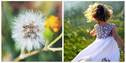 Гармония в себе Цитаты. ГАРМОНИЯ. Цитаты про гармонию.