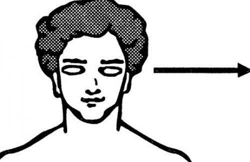 Тест визуал. аудиал. кинестетик. дигитал. густатор. олфактор. Что значит аудиал, визуал, кинестетик, дигитал?