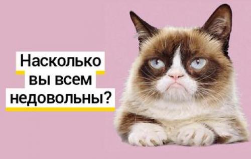 Оптимист пессимист реалист кто это. Тест: вы оптимист, пессимист, реалист или оппортунист?