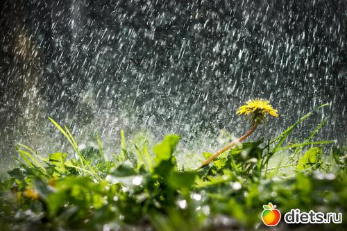 Вкус жизни, что это. Как проявляется вкус к жизни 01