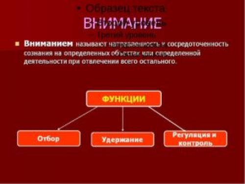 Психология внимания. Свойства внимания в психологии
