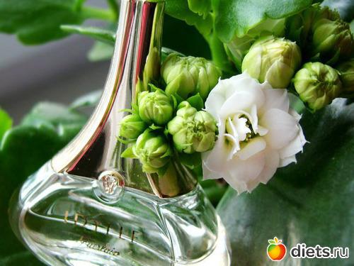 Вкус жизни, что это. Как проявляется вкус к жизни 06