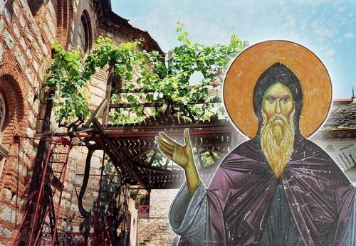 Жена не хочет детей православие. Чудо святого Симеона Мироточивого