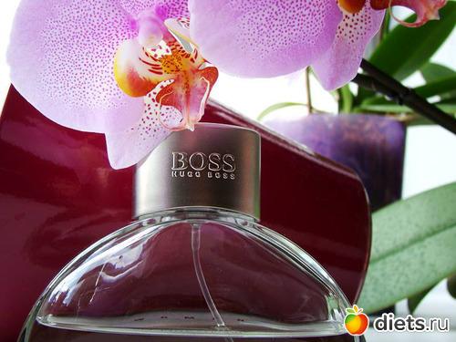 Вкус жизни, что это. Как проявляется вкус к жизни 07