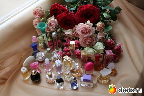 Вкус жизни, что это. Как проявляется вкус к жизни 10